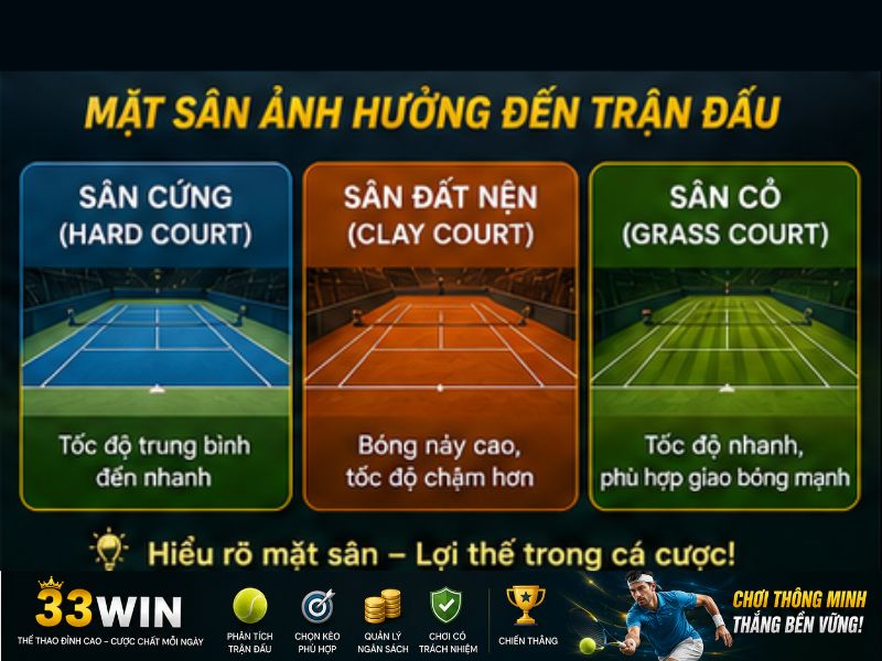 Xem thành tích trên từng mặt sân
