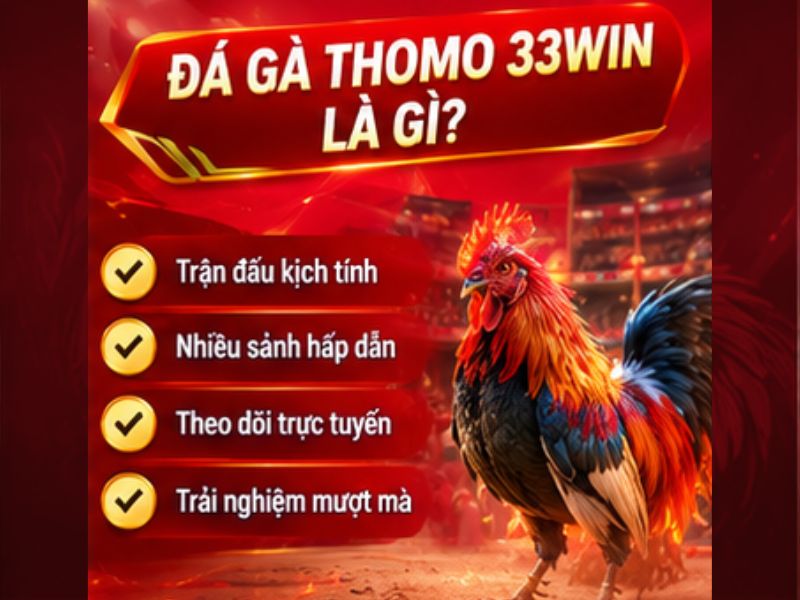 Đá Gà Thomo 33WIN Là Gì?