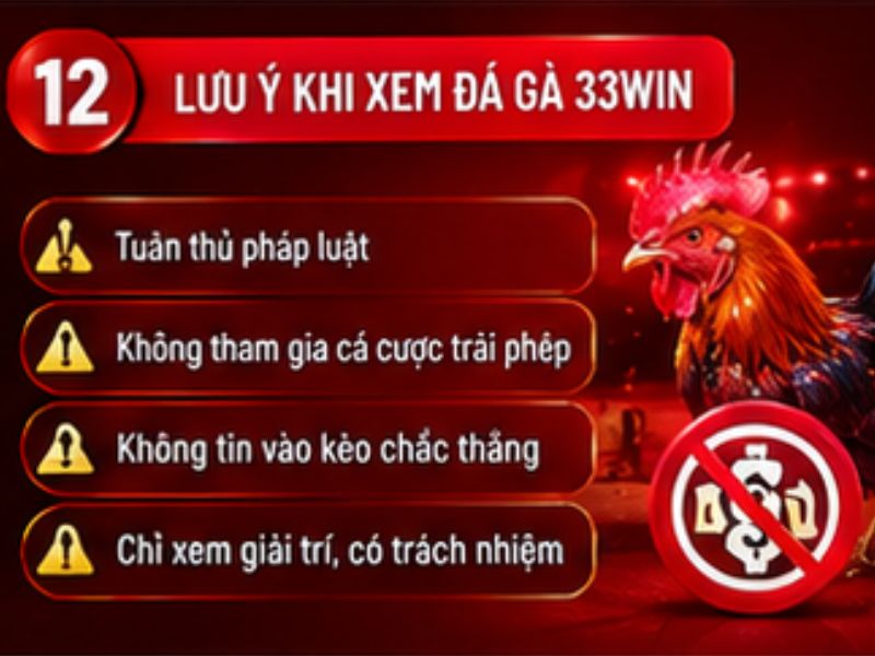 Một số lưu ý khi xem đá gà trực tuyến
