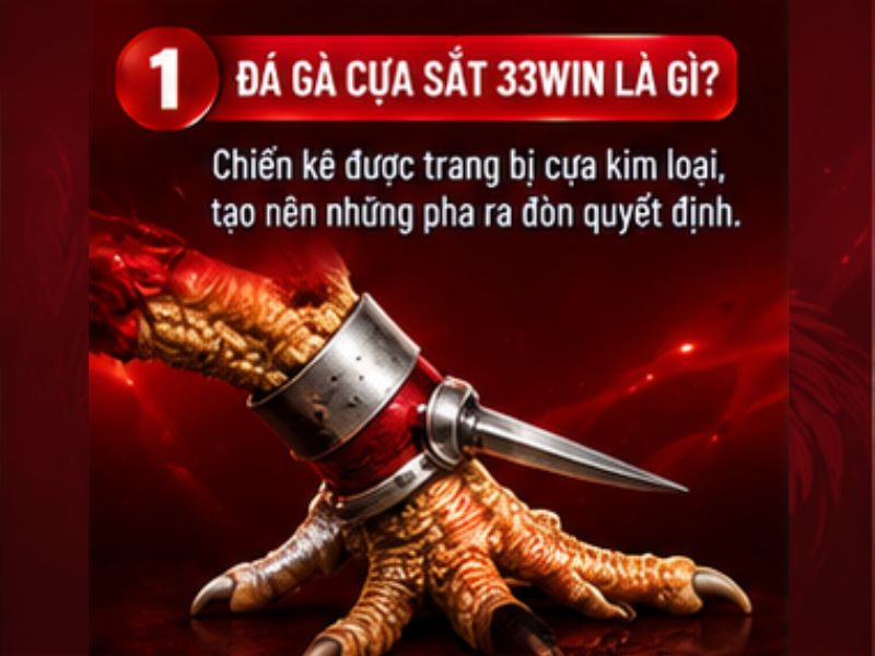 Đá gà cựa sắt 33WIN là gì