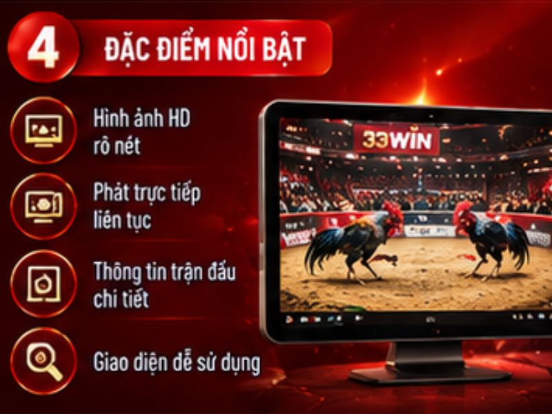 Đặc điểm của một trận đá gà cựa sắt hấp dẫn