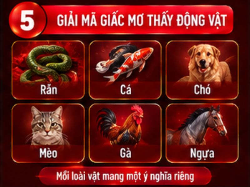 Giải mã giấc mơ thấy động vật